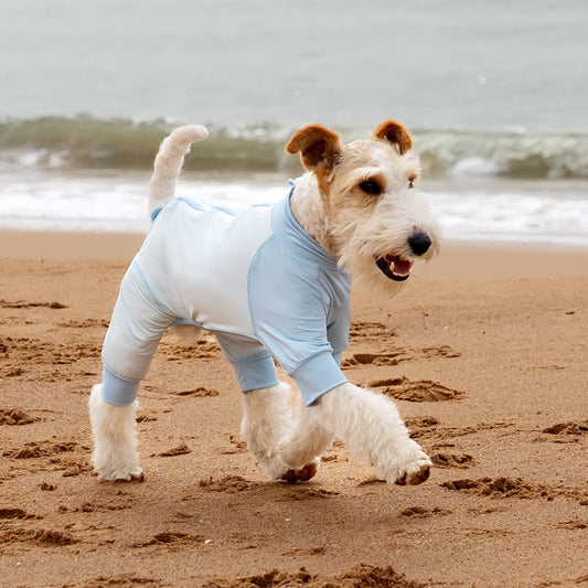 Cooling Dog Shirt - UPF 50+ Sun Protection, Breathable & Cooling for Beach, Hiking & Camping
