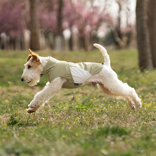 Cooling Dog Vest -Quick Drying, Breathable & Cooling for Picnic, Hiking & Camping