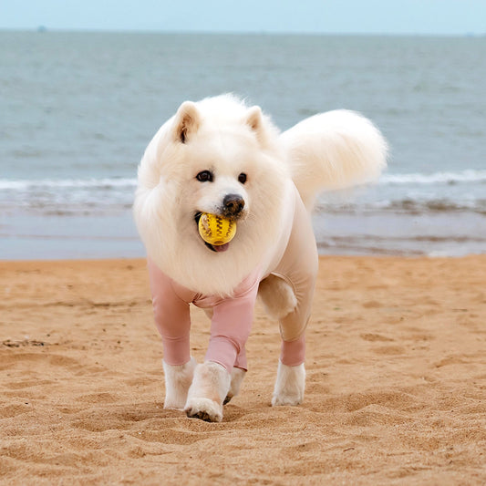 Cooling Dog Suit - UPF 50+ Sun Protection, Cooling & 4 Leg Protection for Beach, Hiking & Camping