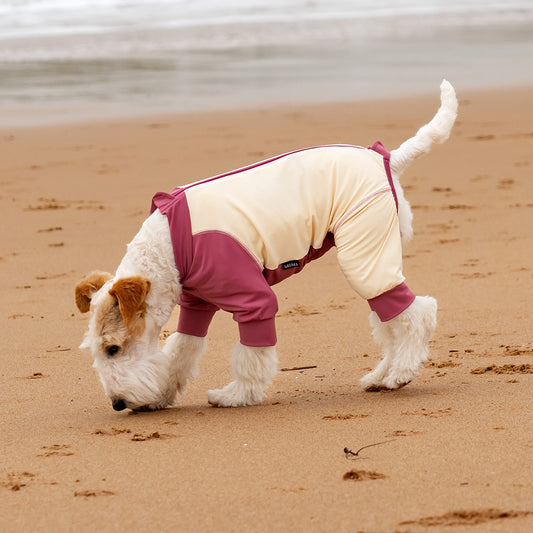 Cooling Dog Shirt - UPF 50+ Sun Protection, Breathable & Cooling for Beach, Hiking & Camping