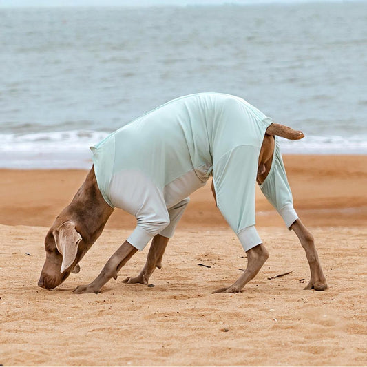 Cooling Dog Suit - UPF 50+ Sun Protection, Cooling & 4 Leg Protection for Beach, Hiking & Camping