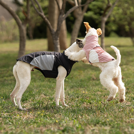 Cooling Dog Vest -Quick Drying, Breathable & Cooling for Picnic, Hiking & Camping