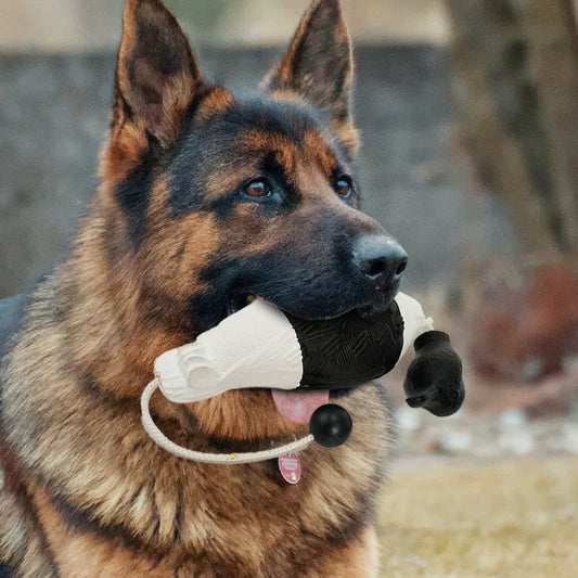 Dog Toy - Outdoor Interactive Training Duck Bumper