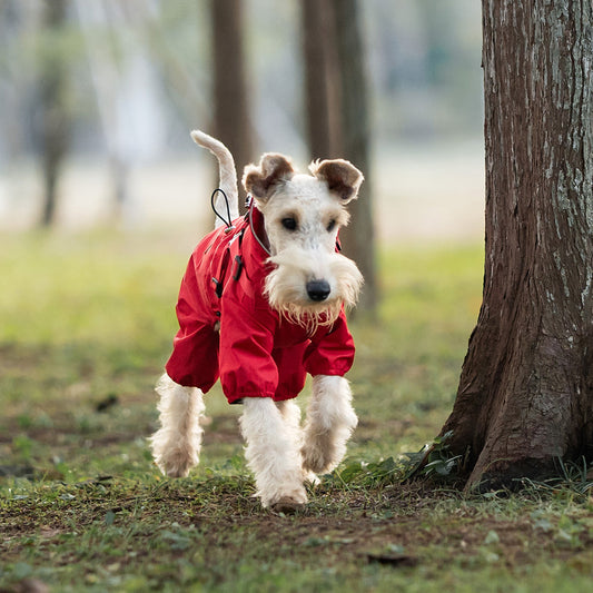 Dog Raincoat - Waterproof, Windproof, High Visibility, All Weather & 4 Leg Protection for Hiking, Camping & Outing