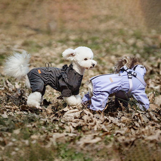 Dog Raincoat - Waterproof, Windproof, High Visibility, All Weather & 4 Leg Protection for Hiking, Camping & Outing